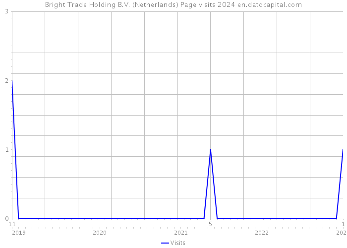 Bright Trade Holding B.V. (Netherlands) Page visits 2024 