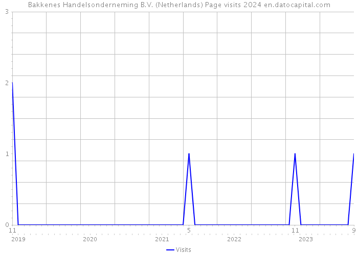 Bakkenes Handelsonderneming B.V. (Netherlands) Page visits 2024 