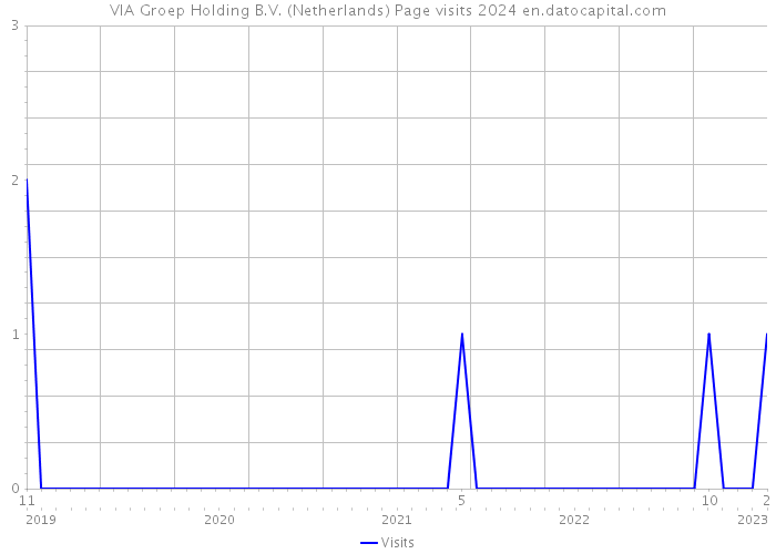 VIA Groep Holding B.V. (Netherlands) Page visits 2024 