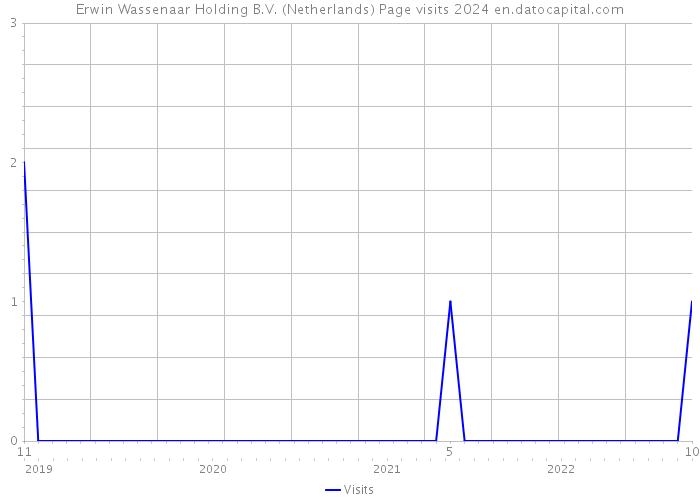 Erwin Wassenaar Holding B.V. (Netherlands) Page visits 2024 