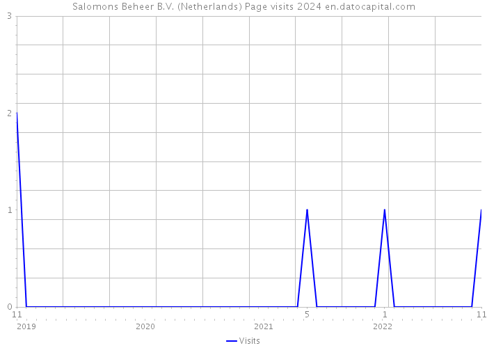 Salomons Beheer B.V. (Netherlands) Page visits 2024 