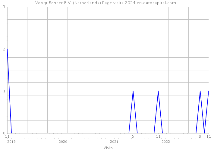 Voogt Beheer B.V. (Netherlands) Page visits 2024 
