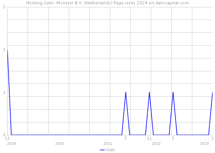 Holding Gebr. Monster B.V. (Netherlands) Page visits 2024 