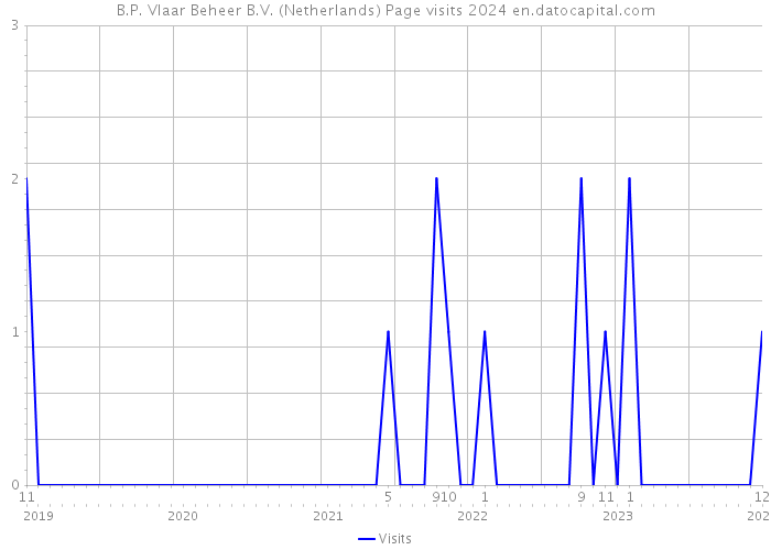 B.P. Vlaar Beheer B.V. (Netherlands) Page visits 2024 