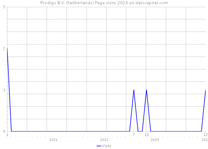 Prodigo B.V. (Netherlands) Page visits 2024 