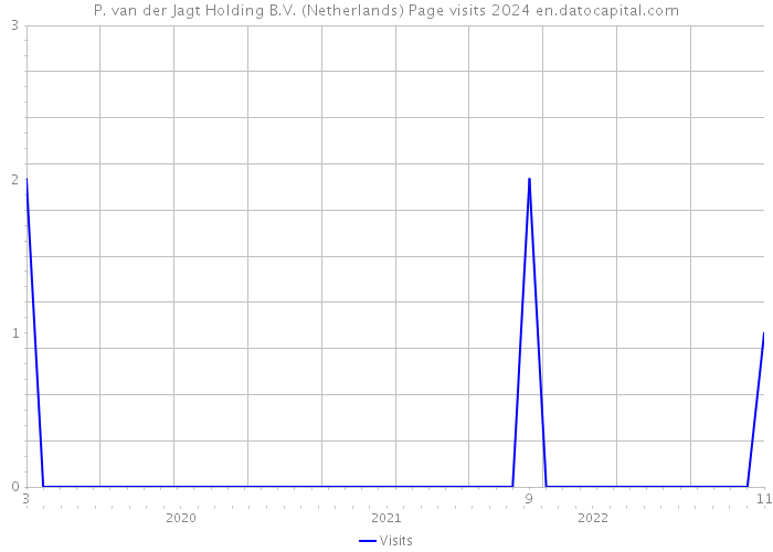 P. van der Jagt Holding B.V. (Netherlands) Page visits 2024 