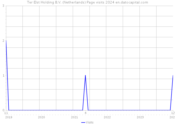 Ter Elst Holding B.V. (Netherlands) Page visits 2024 