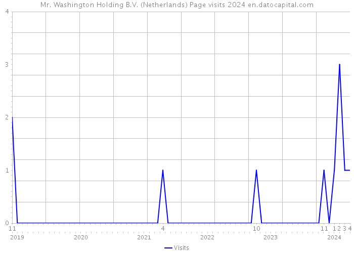 Mr. Washington Holding B.V. (Netherlands) Page visits 2024 