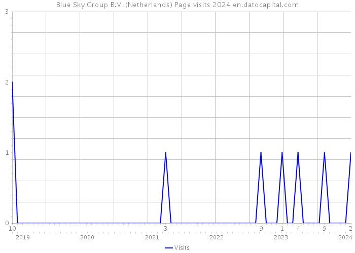 Blue Sky Group B.V. (Netherlands) Page visits 2024 