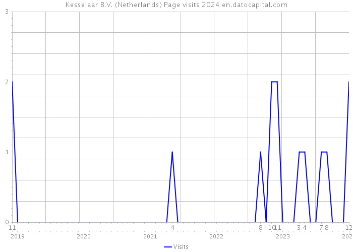 Kesselaar B.V. (Netherlands) Page visits 2024 