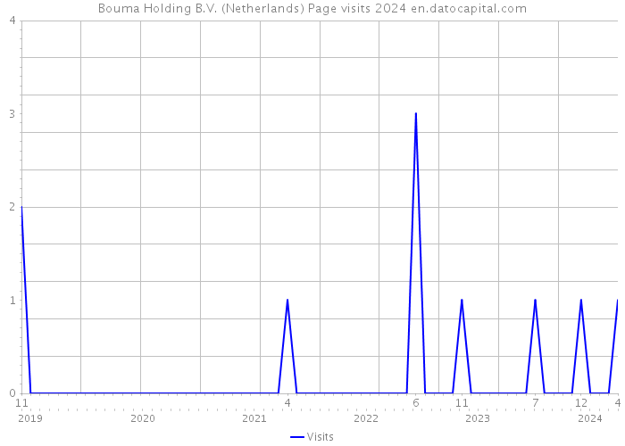 Bouma Holding B.V. (Netherlands) Page visits 2024 