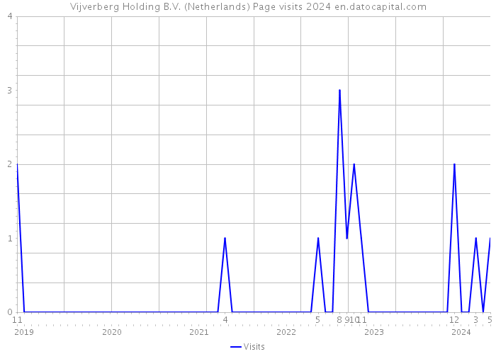 Vijverberg Holding B.V. (Netherlands) Page visits 2024 