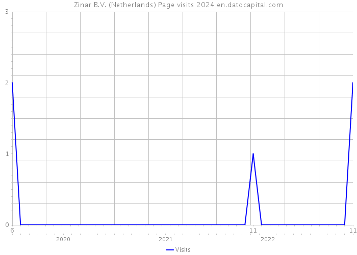 Zinar B.V. (Netherlands) Page visits 2024 