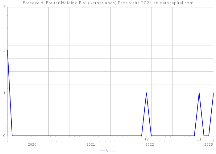 Breedveld-Bouter Holding B.V. (Netherlands) Page visits 2024 