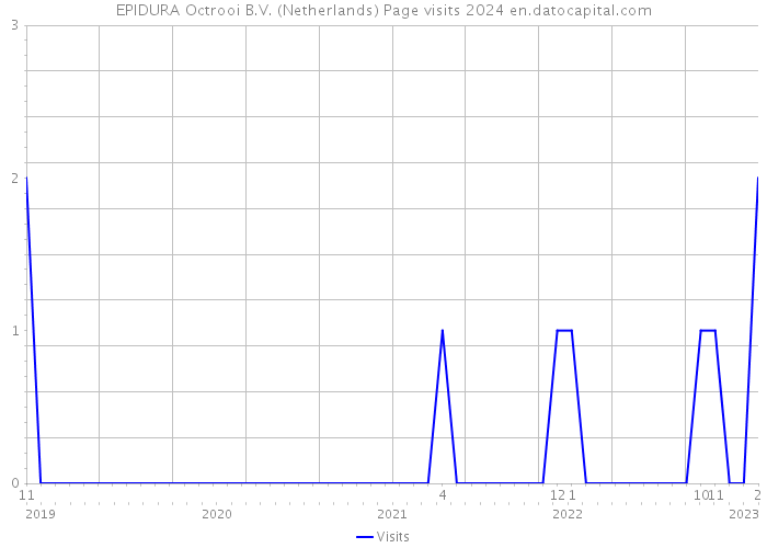 EPIDURA Octrooi B.V. (Netherlands) Page visits 2024 