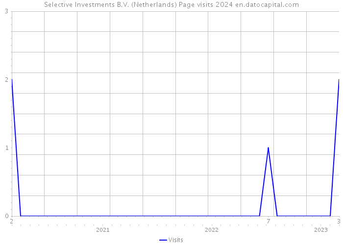 Selective Investments B.V. (Netherlands) Page visits 2024 