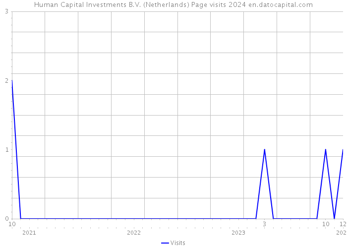 Human Capital Investments B.V. (Netherlands) Page visits 2024 