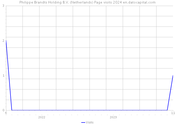Philippe Brandts Holding B.V. (Netherlands) Page visits 2024 