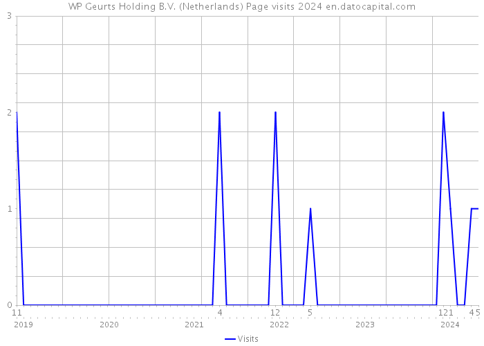WP Geurts Holding B.V. (Netherlands) Page visits 2024 