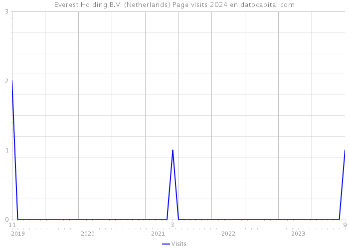 Everest Holding B.V. (Netherlands) Page visits 2024 