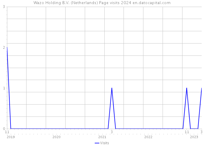 Wazo Holding B.V. (Netherlands) Page visits 2024 