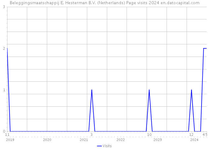 Beleggingsmaatschappij E. Hesterman B.V. (Netherlands) Page visits 2024 