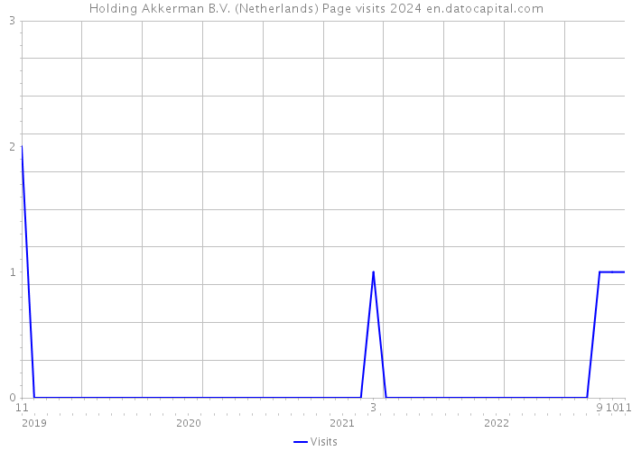 Holding Akkerman B.V. (Netherlands) Page visits 2024 