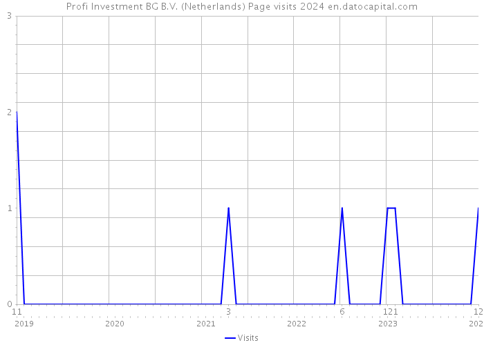 Profi Investment BG B.V. (Netherlands) Page visits 2024 