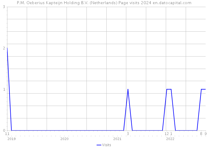 P.M. Oeberius Kapteijn Holding B.V. (Netherlands) Page visits 2024 