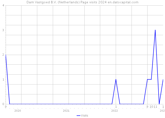 Dam Vastgoed B.V. (Netherlands) Page visits 2024 