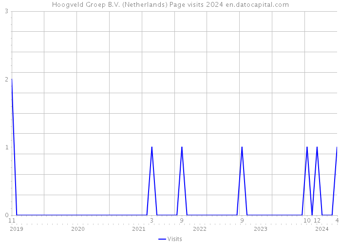 Hoogveld Groep B.V. (Netherlands) Page visits 2024 
