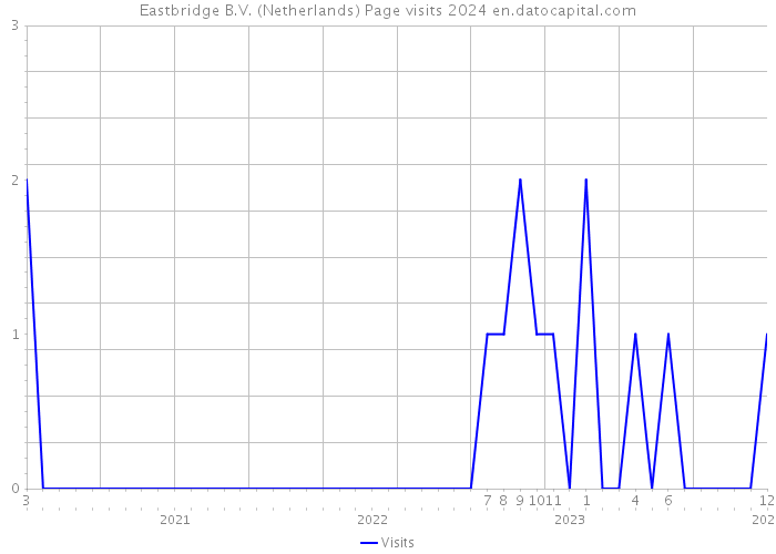 Eastbridge B.V. (Netherlands) Page visits 2024 
