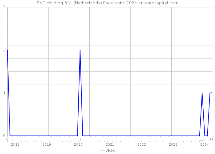 PAG Holding B.V. (Netherlands) Page visits 2024 