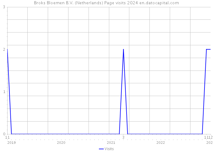 Broks Bloemen B.V. (Netherlands) Page visits 2024 
