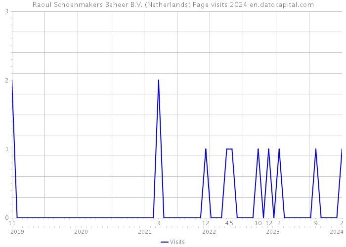 Raoul Schoenmakers Beheer B.V. (Netherlands) Page visits 2024 