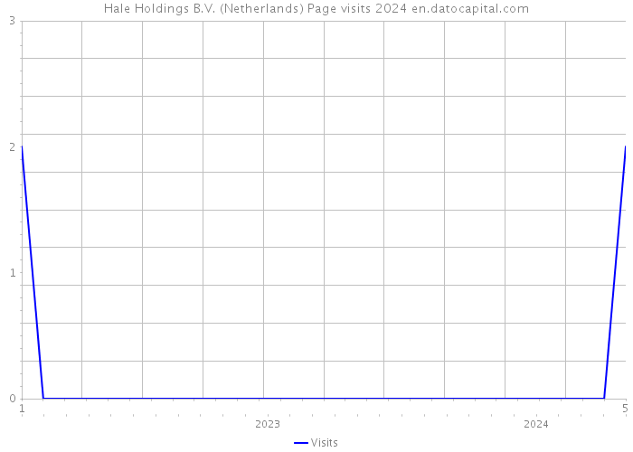 Hale Holdings B.V. (Netherlands) Page visits 2024 