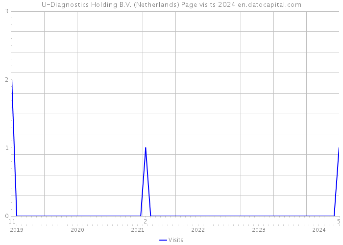 U-Diagnostics Holding B.V. (Netherlands) Page visits 2024 