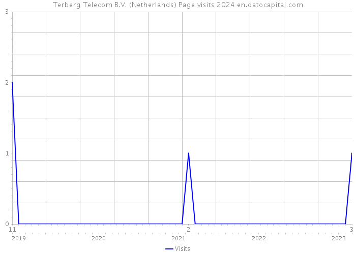 Terberg Telecom B.V. (Netherlands) Page visits 2024 
