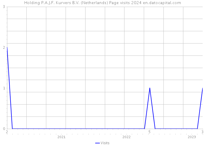 Holding P.A.J.F. Kurvers B.V. (Netherlands) Page visits 2024 