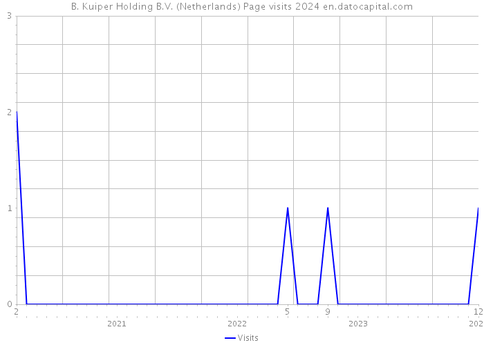 B. Kuiper Holding B.V. (Netherlands) Page visits 2024 