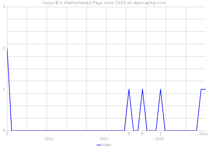 Carpe B.V. (Netherlands) Page visits 2024 
