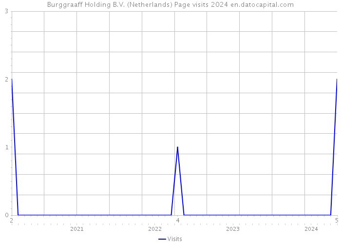 Burggraaff Holding B.V. (Netherlands) Page visits 2024 