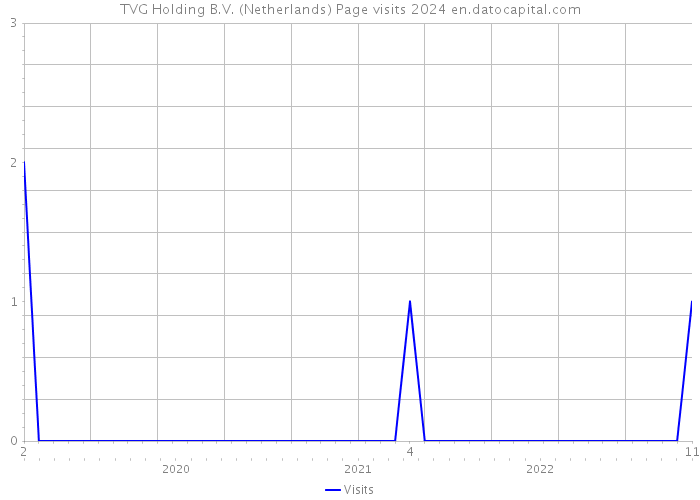 TVG Holding B.V. (Netherlands) Page visits 2024 