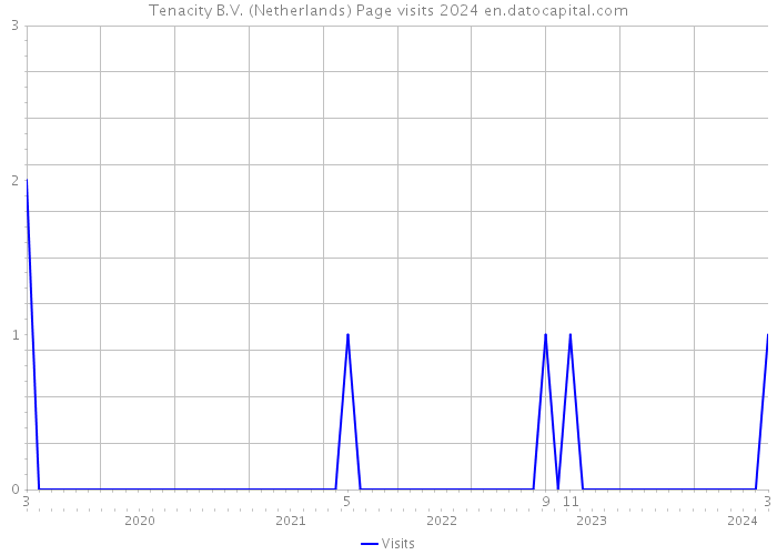 Tenacity B.V. (Netherlands) Page visits 2024 