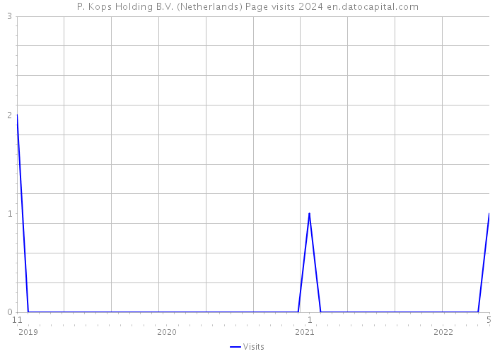 P. Kops Holding B.V. (Netherlands) Page visits 2024 