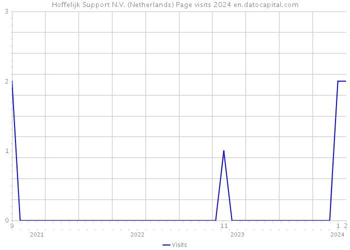 Hoffelijk Support N.V. (Netherlands) Page visits 2024 