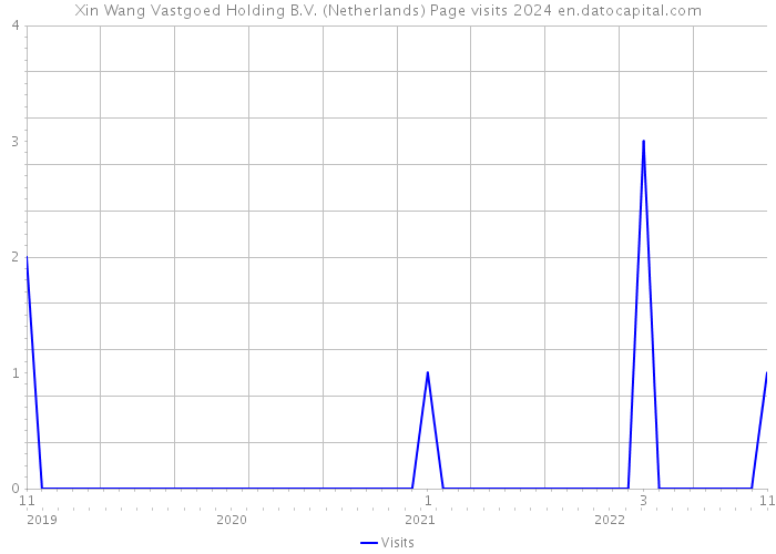 Xin Wang Vastgoed Holding B.V. (Netherlands) Page visits 2024 