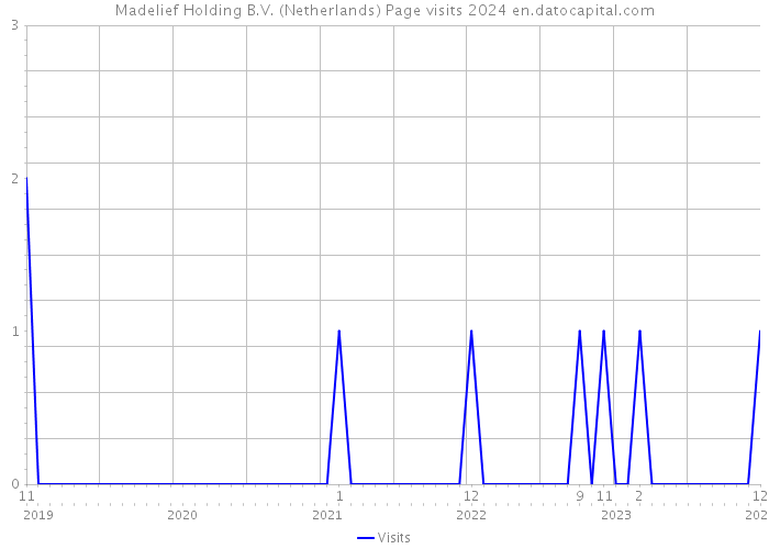 Madelief Holding B.V. (Netherlands) Page visits 2024 