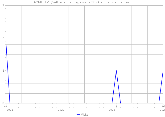 AYME B.V. (Netherlands) Page visits 2024 