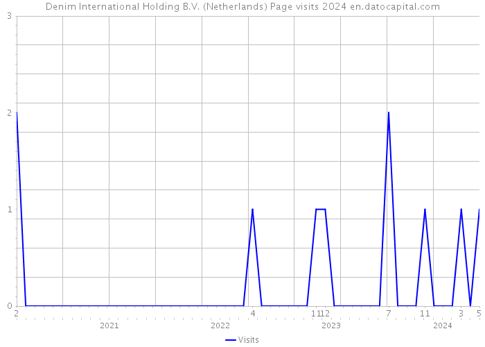 Denim International Holding B.V. (Netherlands) Page visits 2024 